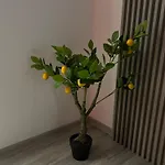 Edem Apartmet Craiova