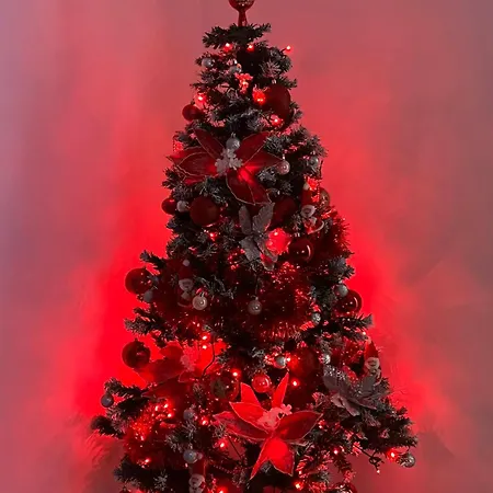 Appartement Edem Apartmet