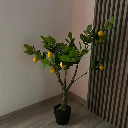 Edem Apartmet Κραϊόβα