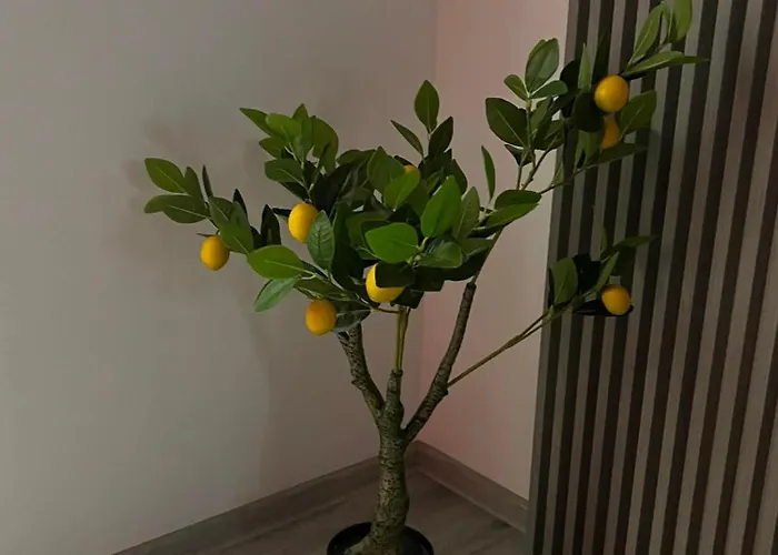 Edem Apartmet Craiova